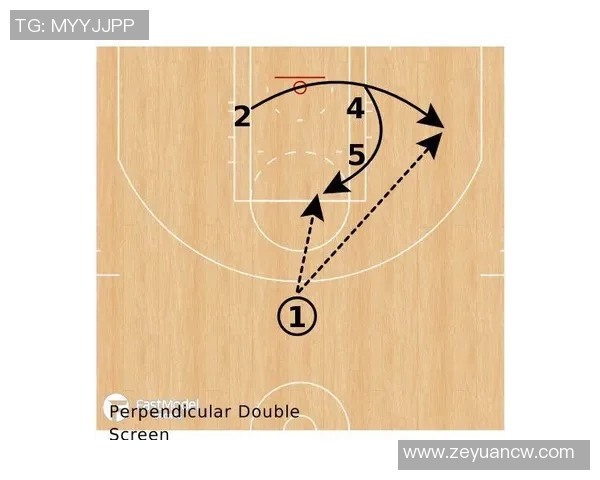 上海排球队阵地战体系解析与战术创新研究